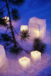 Candles Sitting on Snow by Tree